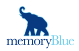 memory blue blue elephant logo